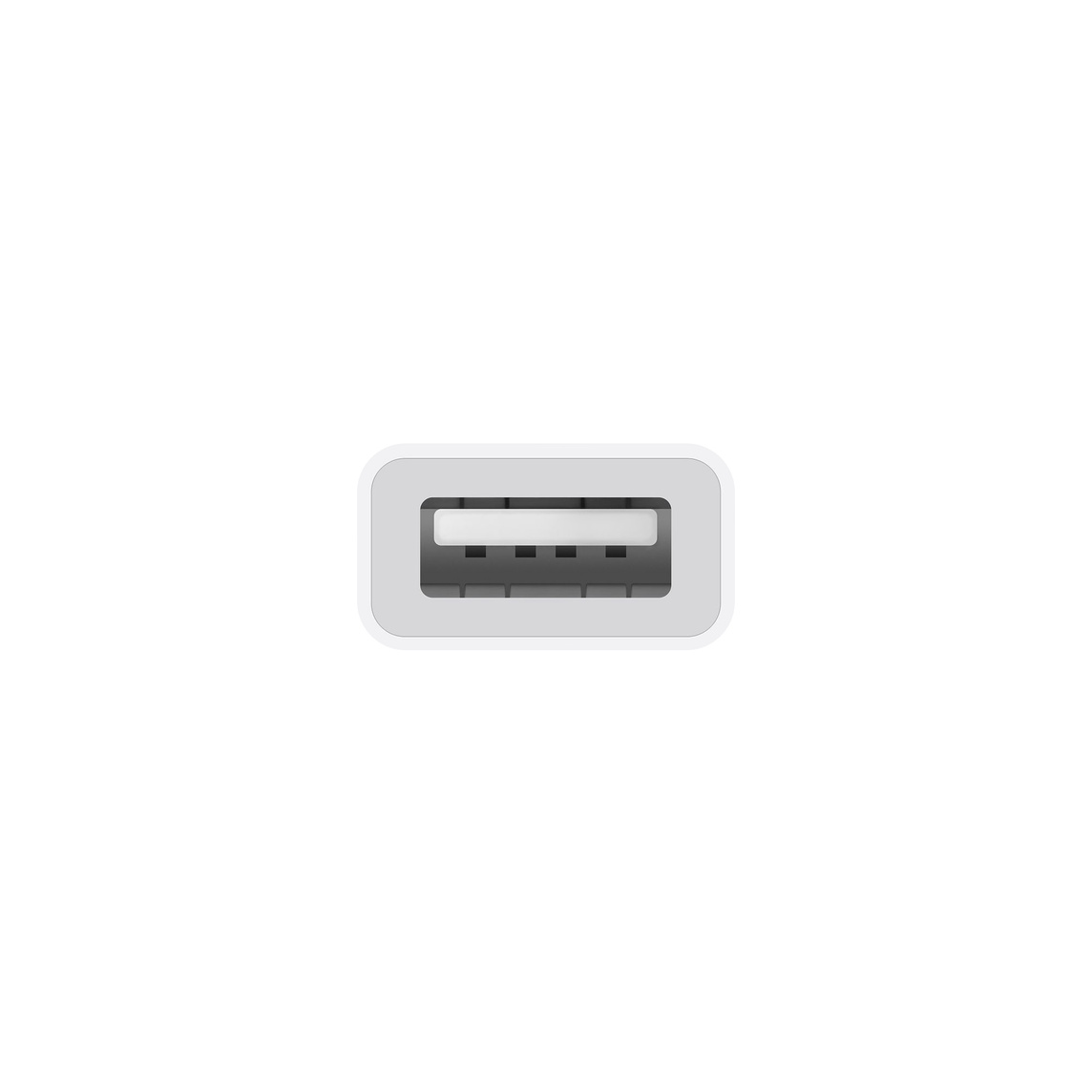 Apple USB-C to USB Adapter | MW5L3