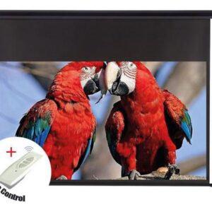 SkyPro Electric Projector Screen 180cm x 180cm With RF Remote Control | SP-ELC180