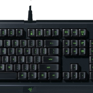 Razer Cynosa Lite Keyboard and Abyssus Lite Mouse Bundle | RZ84-02740100-B3M1